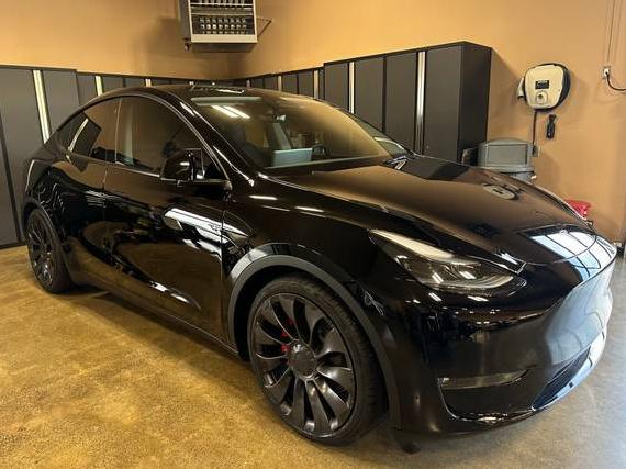TESLA MODEL Y 2023 7SAYGDEF7PF659520 image